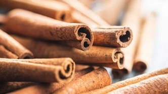 Cinnamon, as the Finessa ingredient artwork draws it