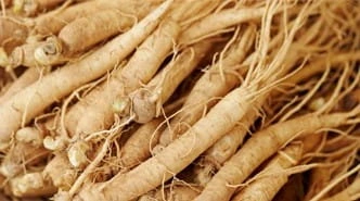 Eleuthero root, from the Finessa ingredient artwork