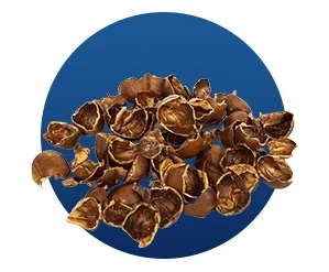 Cascara Sagrada, as the Finessa ingredient artwork draws it