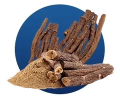 Licorice Extract, as the Finessa ingredient artwork draws it