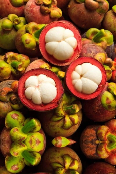 Mangosteen, from the Finessa ingredient artwork