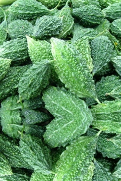Momordica charantia, from the Finessa ingredient artwork